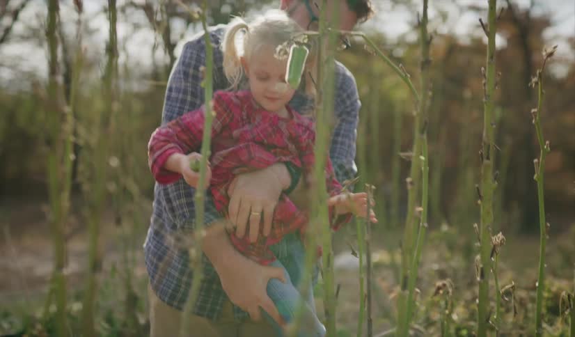 A dad lifts up his little girls so she can pick a pepper off a plant in the garden