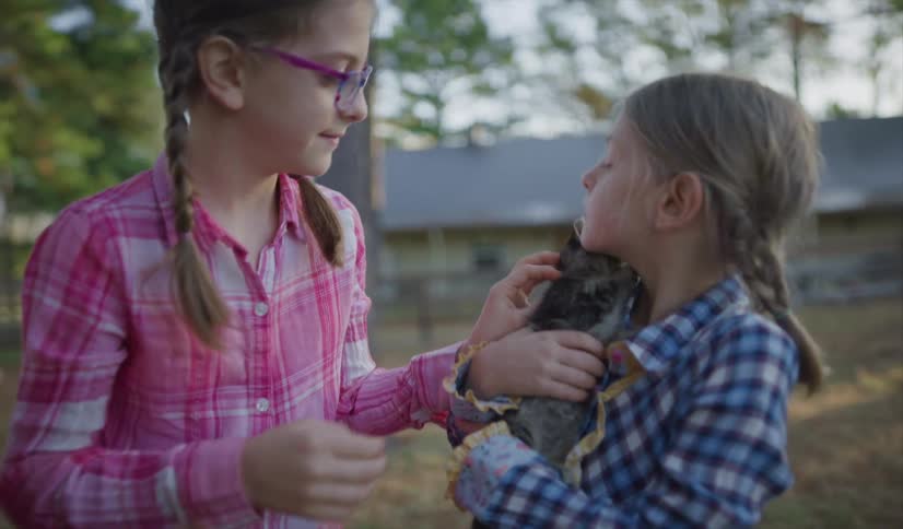 Three little girls playing with a kitten in the yard of a house on a rural area at sunset