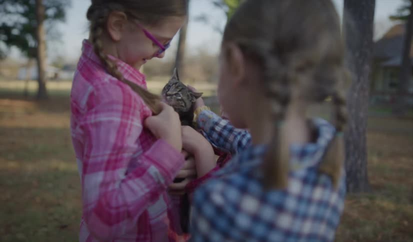 A girl with glasses holding a kitten and carrying it up to two other girls with trees the sky and clouds in the background