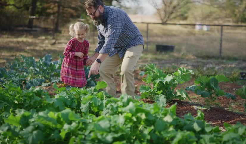 A man holds his daughters hand as they walk through a vegetable garden then squat down to pick a plant