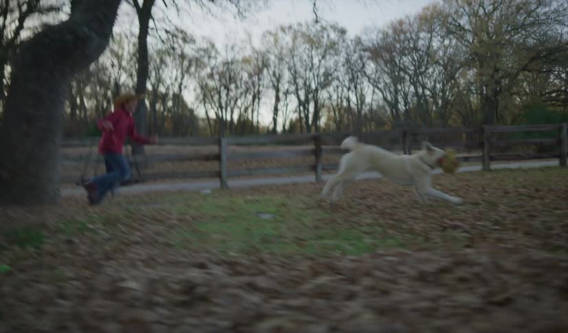 A brother and sister chase a dog around a fenced yard on a clear autumn evening