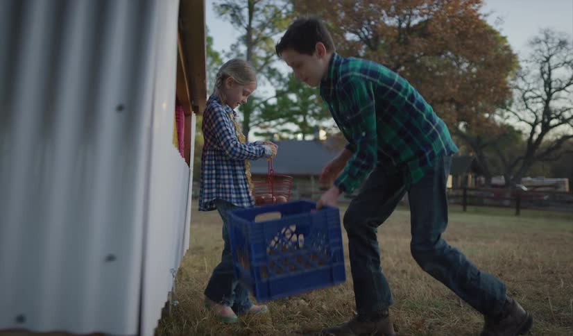 Older brother helps little sister to fill her basket with eggs on a farm