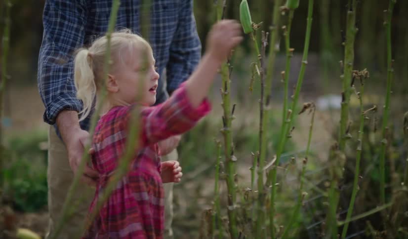Father points at a plant with his daughter outside at daytime as she walks closer then he picks her up and she picks it