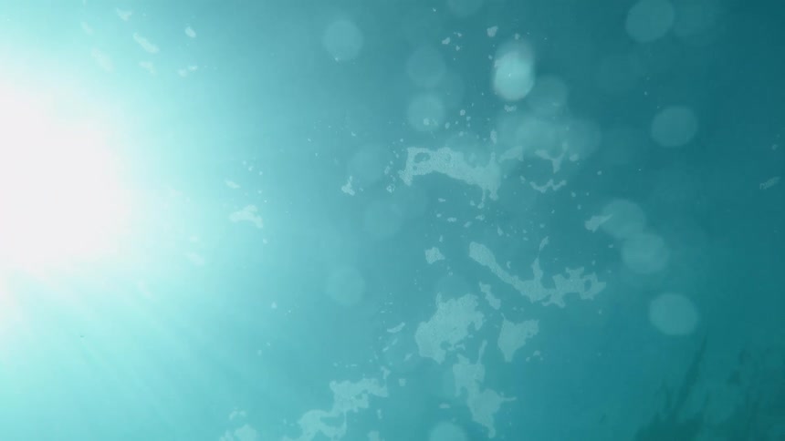 Underwater footage of the frozen surface of a lake at daytime