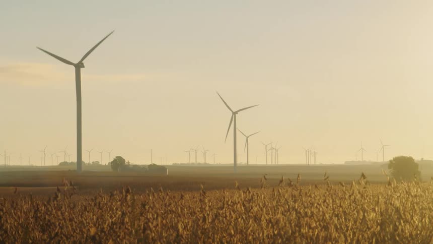 A view of windmills rotating in a field