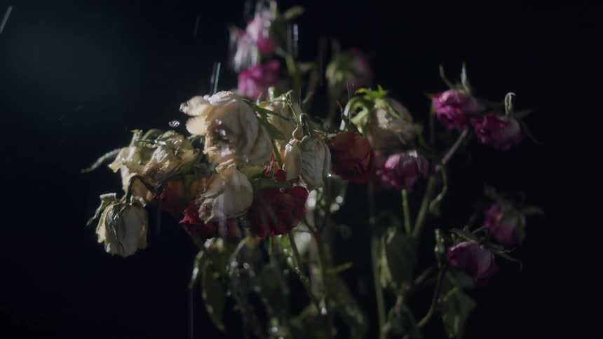 Water raining down on flowers with flashing light