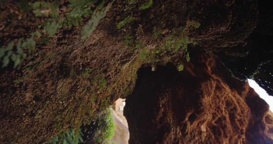 Water dripping on the moss covered entrance of Elves Chasm deep in Grand Canyon National Park along the Colorado River