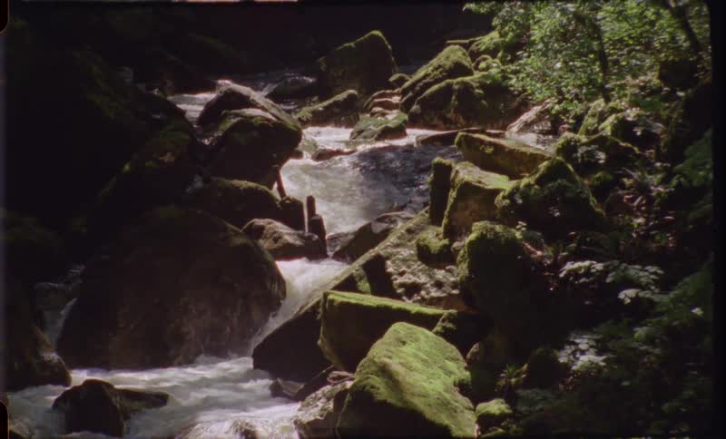Stream in the woods running down rocks with many moss covered rocks around