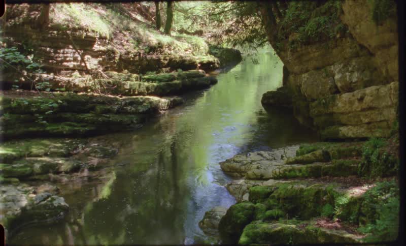 The river is reflecting nature on a sunny day