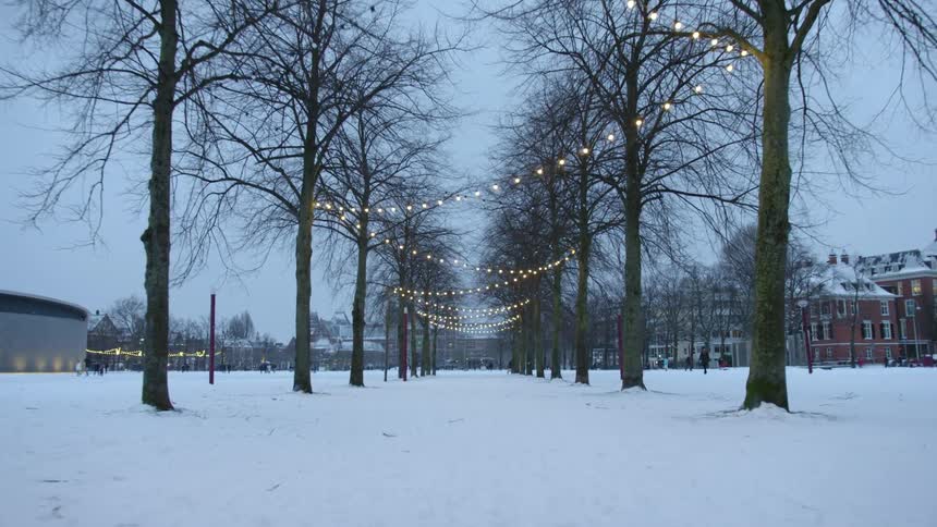 Tree lined path with fairy lights overhead and people and buildings on both sides
