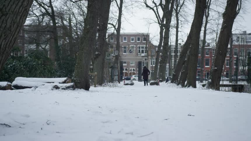 A person walks through a snowy park in a neighborhood