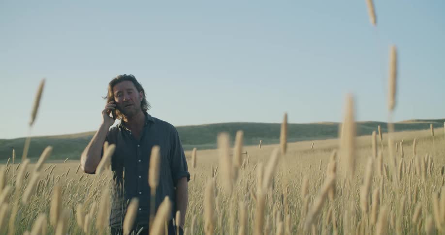 A man is standing in a field of crops and talking on a cellphone