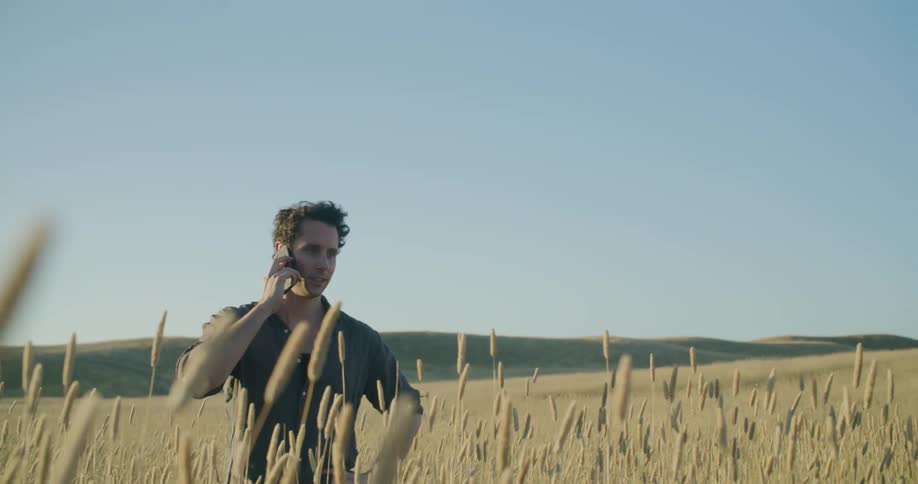 Man standing in the middle of a wheat field talking on cell phone