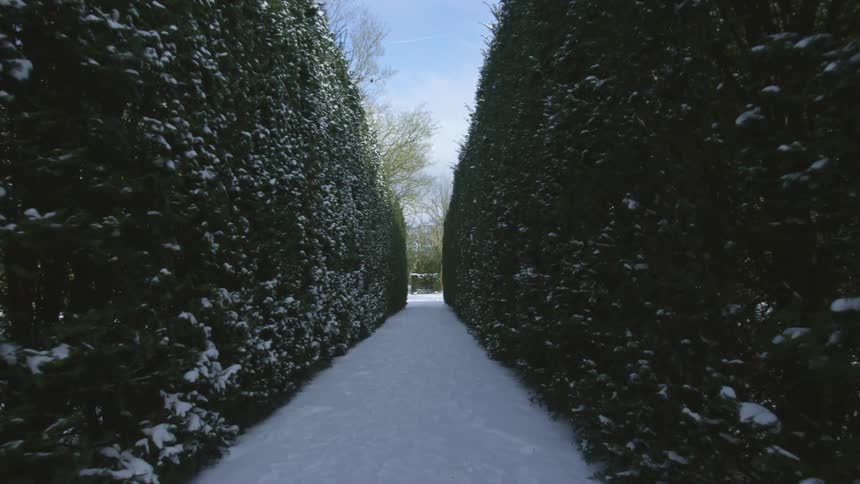 A pathway between two hedges with snow on the ground with trees the sky and clouds in the background