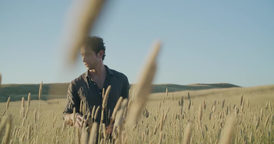 A man standing alone in tall grass in a rural field