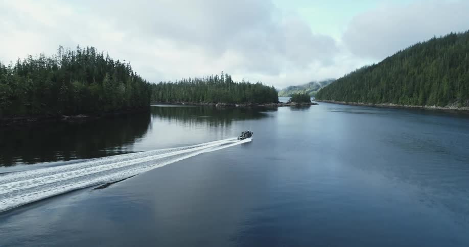A view of a boat traveling down a river