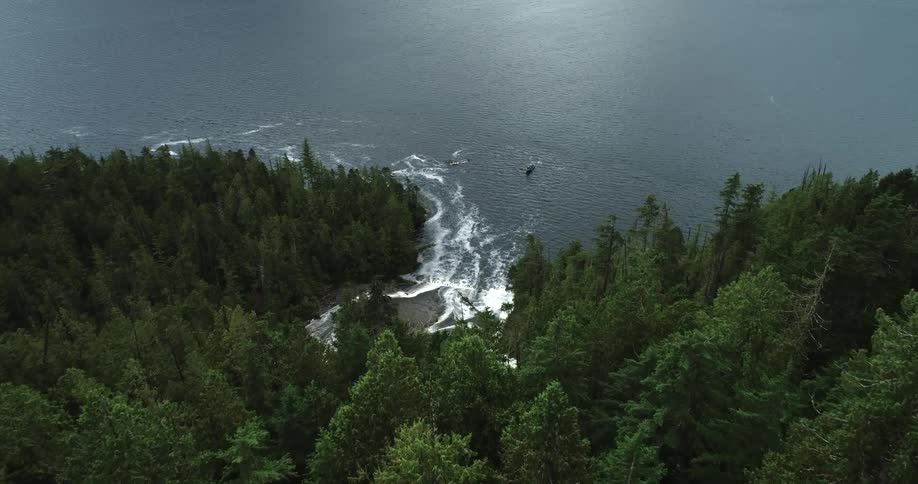 Water falls flowing into forest lake