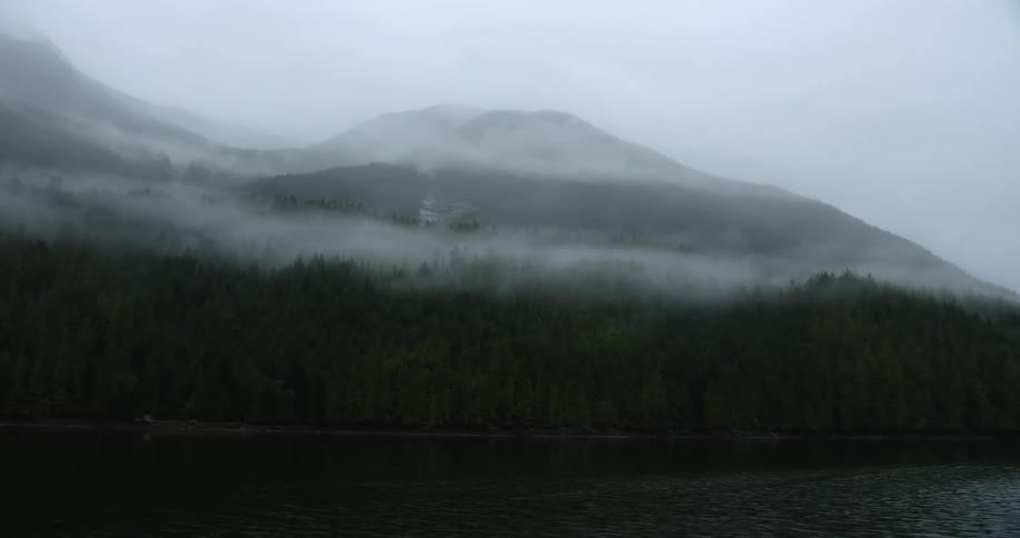 Mist covering the peaks of a mountain range covered in pine tree forest near a lake