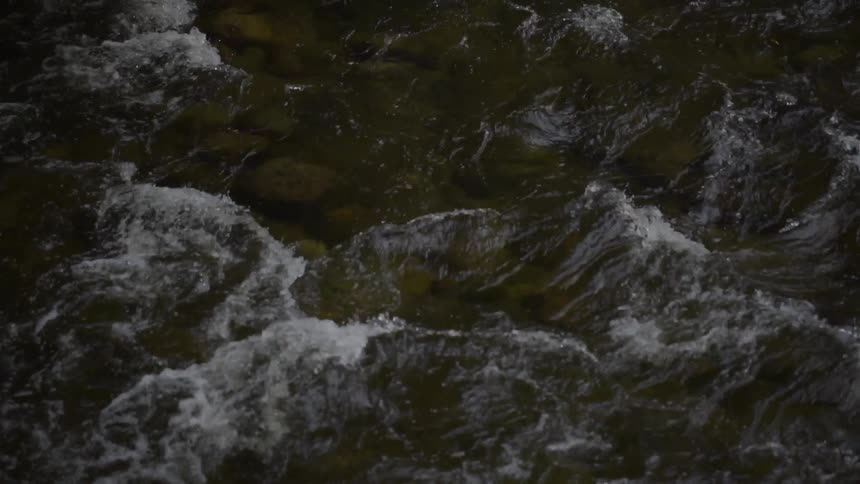 Water ripples and flows over a riverbed