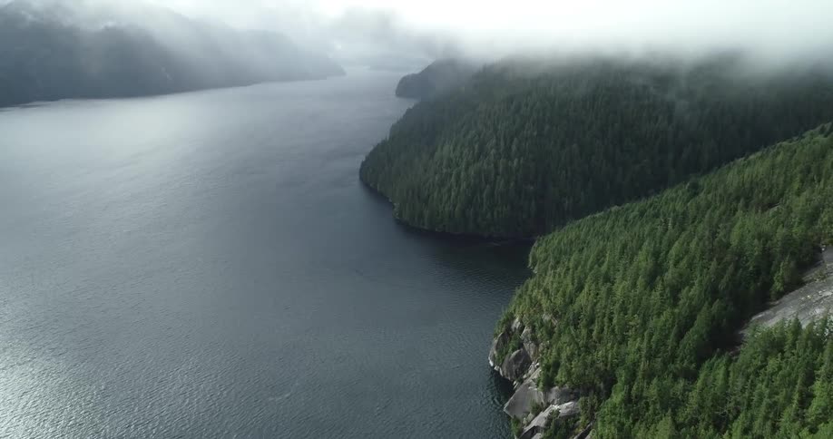Aerial view of the pine tree forests on the mountains near the lake