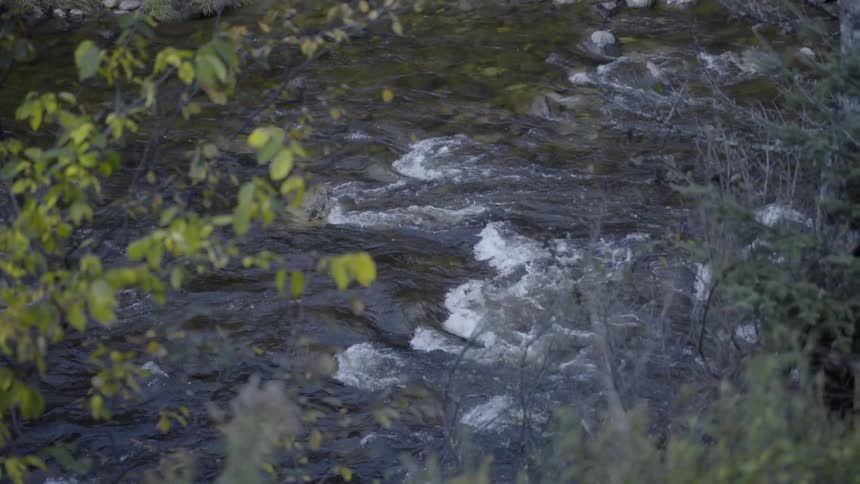 Water rushes over rocks in a river