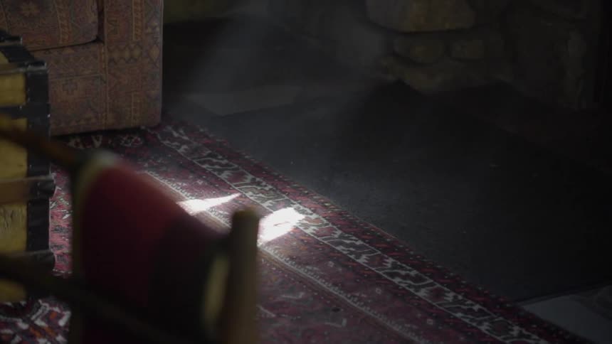 Sunbeams land on an oriental rug