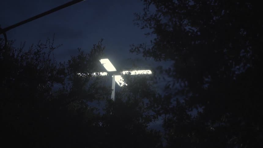 A tall lamp post can be seen behind trees at night