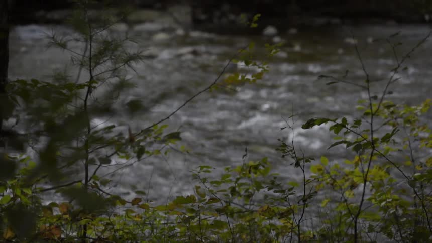 View of a river flowing over rocks