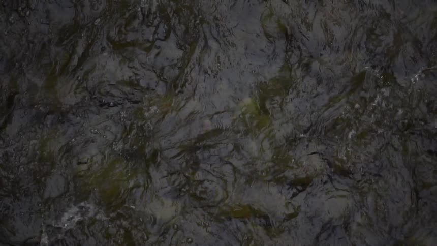 Water rushing in a shallow river