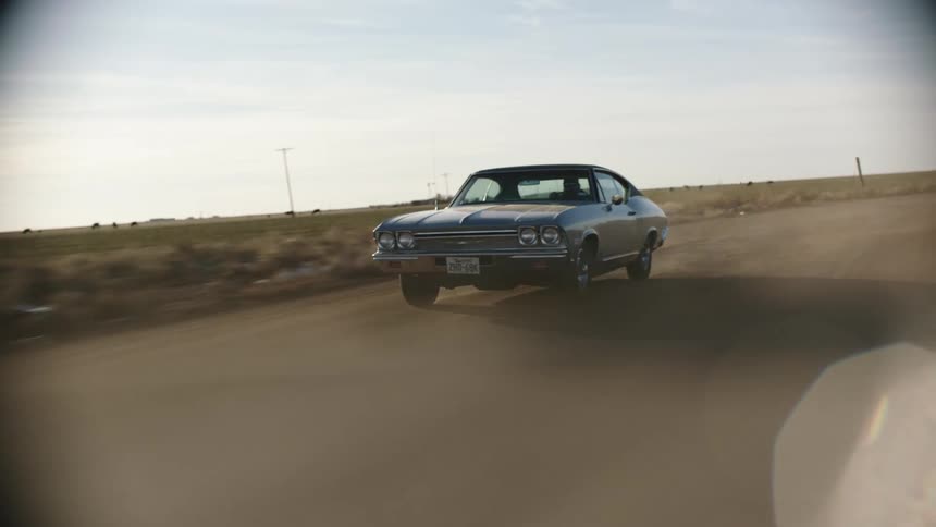 Person speeds along road past cattle pastures