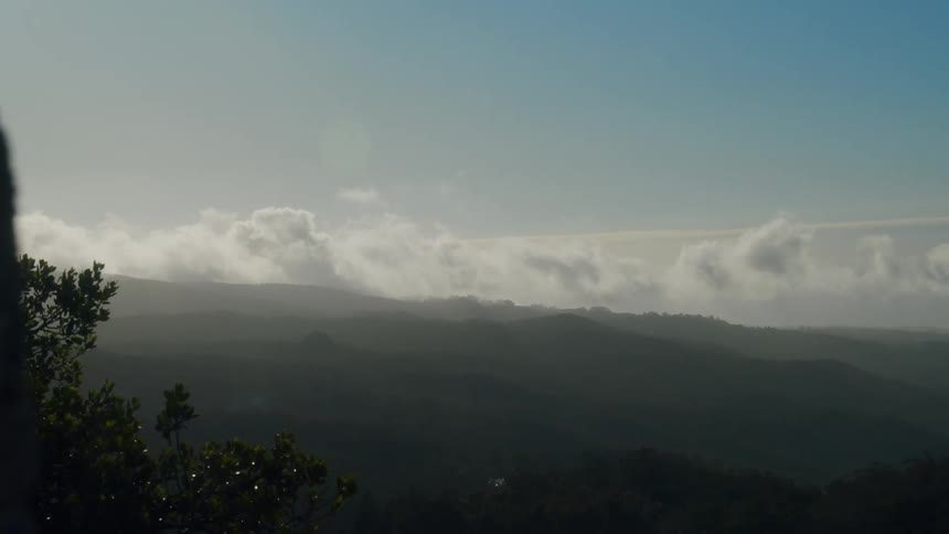A landscape with plants and trees with the sky and clouds in the background