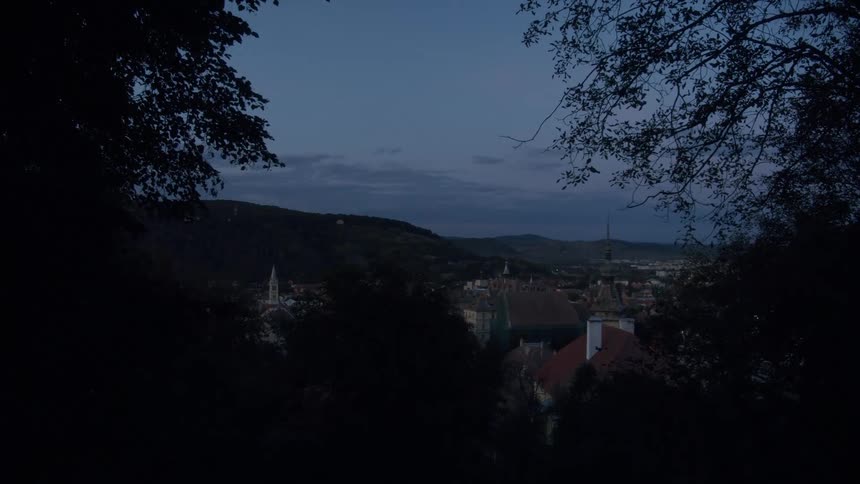 A dense neighborhood is visible through trees in a forest on a hill