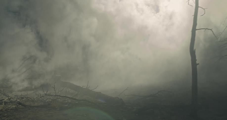 Dense smoke and fog swirl over fallen trees in a forest