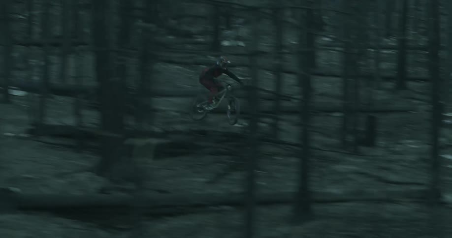 A cyclist races his bike through a forest