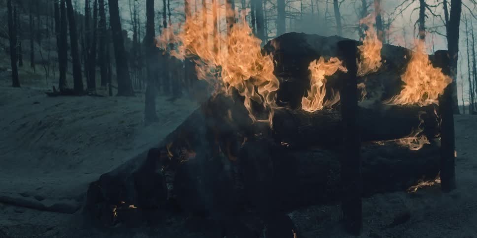 Flames and smoke rise from burning jump in forest