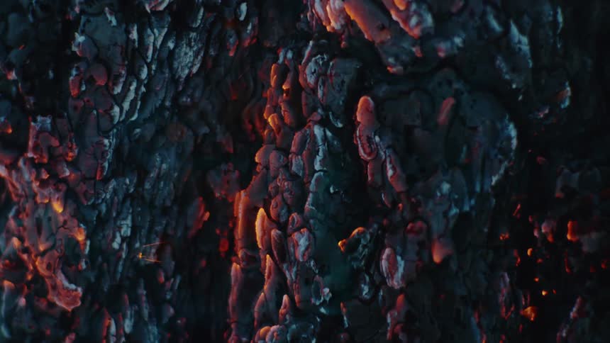 Charred burning wood with flames flickering and smoke rising