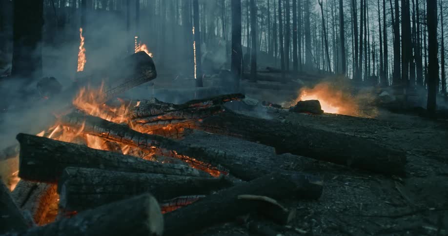Wide static of a person on a mountain bike rides through a burning forest with trees in flames