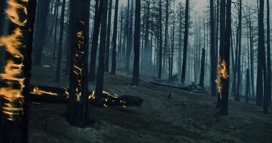 A person on a mountain bike rides through a burning forest with trees in flames