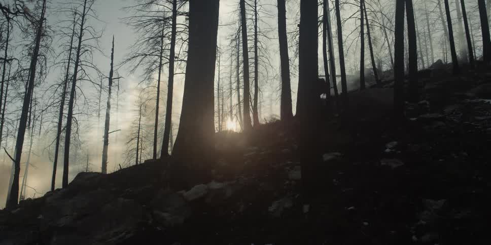 Silhouette of a man driving a mountain bike at full speed downhill in a forest at sunset