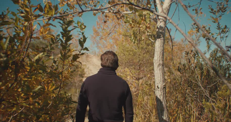 A man walking on a trail in between trees and bushes in a forest at daytime