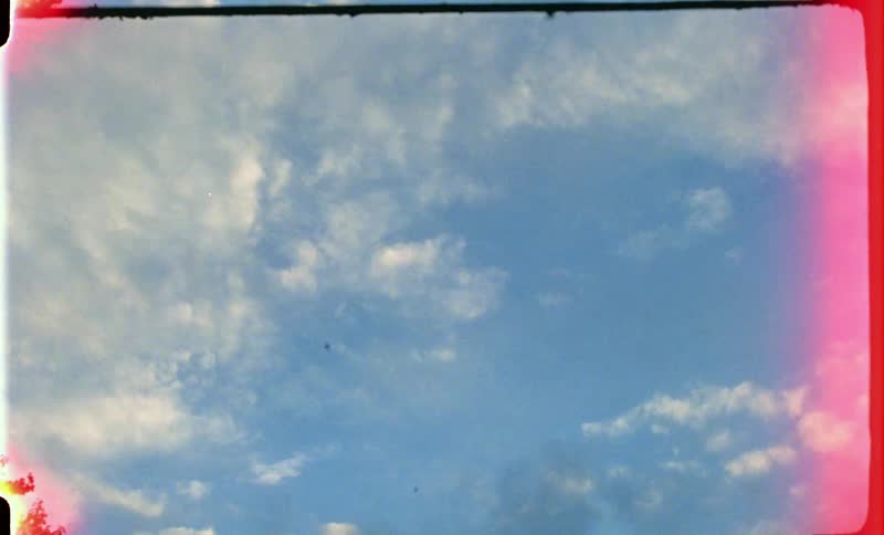 Birds flying on the white clouds in a blue sky