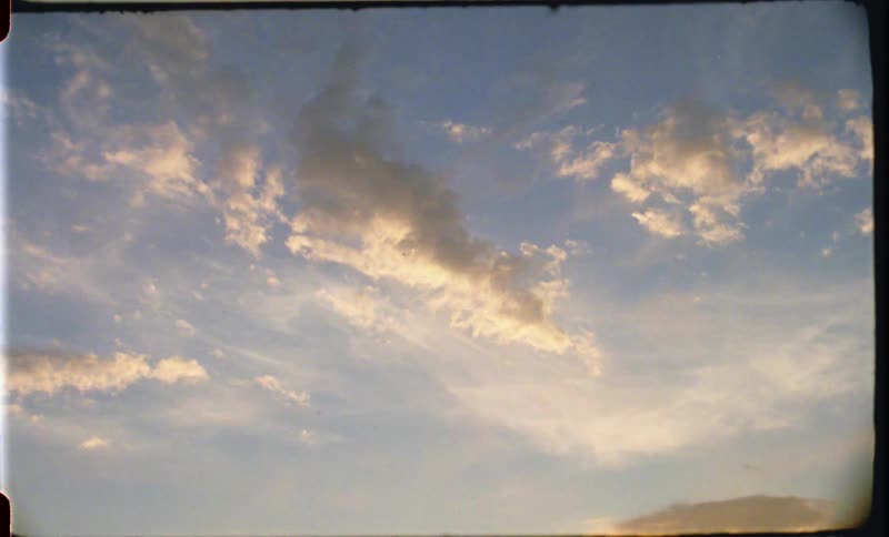 A bird flies high through the air during the day