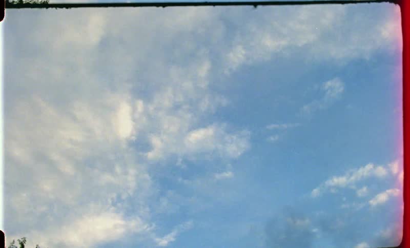 Cloudy sky with a tree nearby