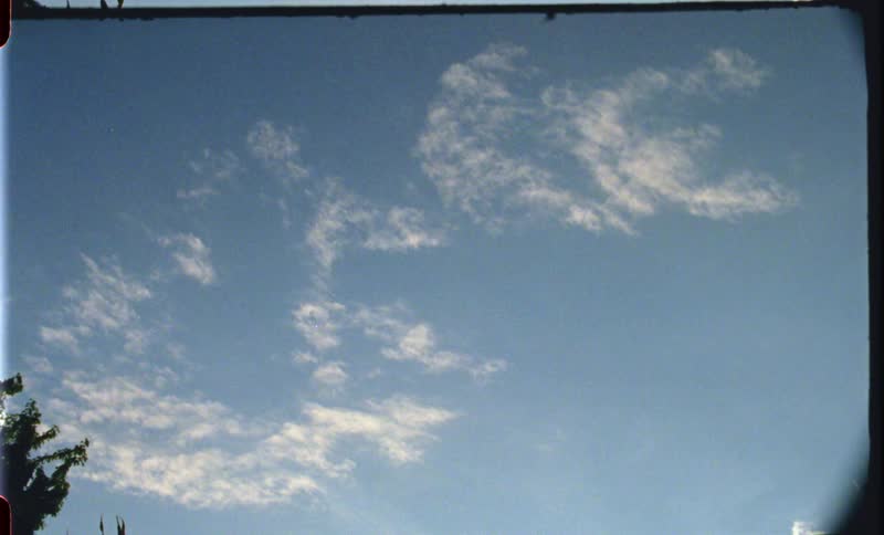 Birds fly across a cloudy sky with trees around