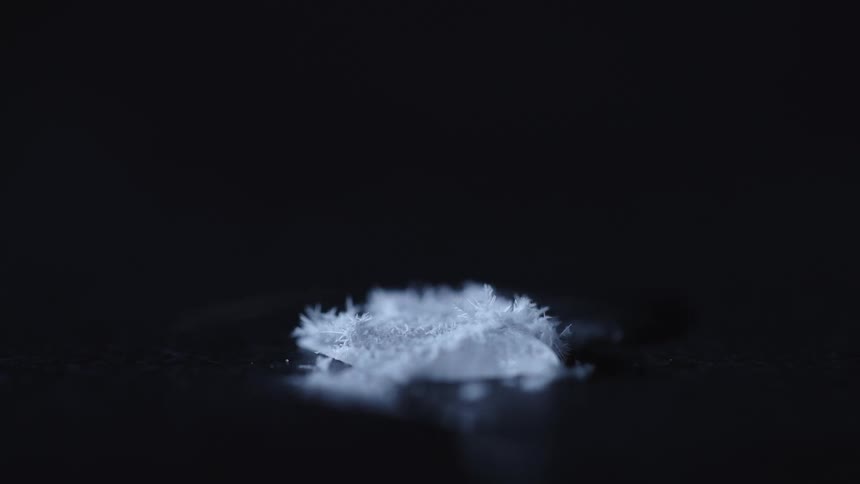 The material melts and sinks in the liquid