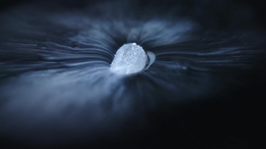 A single piece of dry ice sitting atop a thin layer of water evaporates into small streams of fog