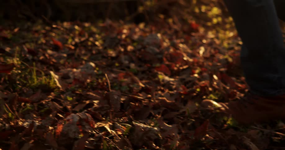 A person wearing boots walking over dead leaves on the ground in the forest at sunset