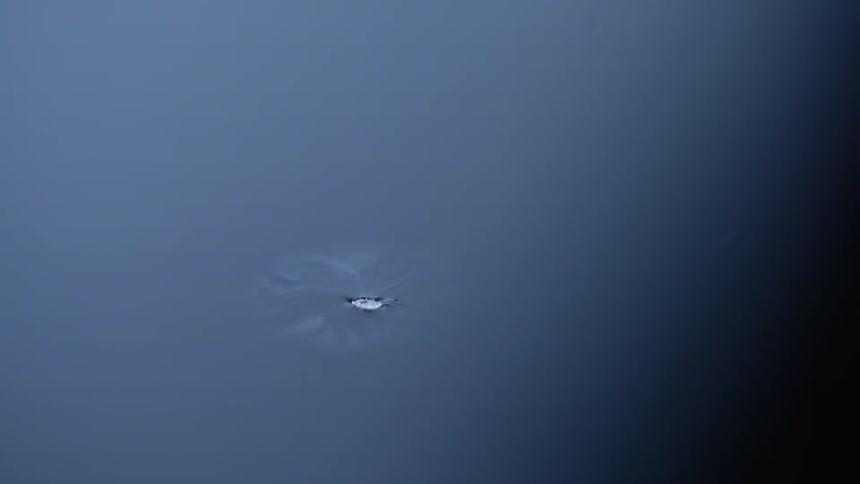 White smoke floating and swirling around dry ice floating in water