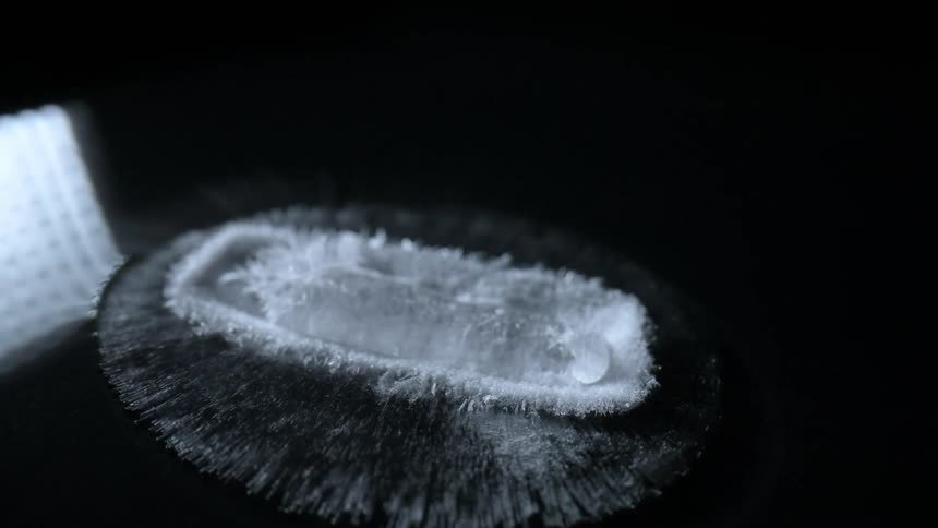 Timelapse of a piece of dry ice dissolving over a black reflecting surface