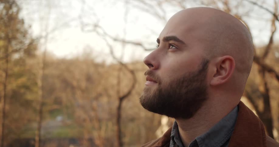A man is looking at the sky in the woods